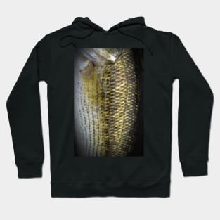 Largemouth Bass Scales Hoodie